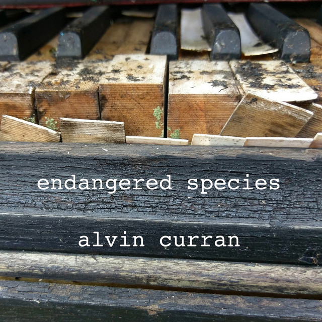 Alvin+Curran%3A+Endangered+Species