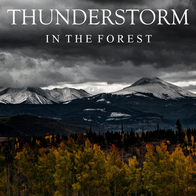 Thunderstorm+in+the+Forest