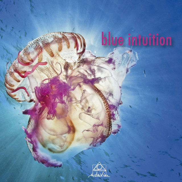Blue+Intuition