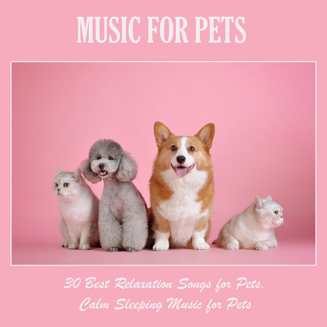 Music+for+Pets%3A+30+Best+Relaxation+Songs+for+Pets%2C+Calm+Sleeping+Music+for+Pets