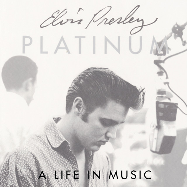 Platinum+-+A+Life+In+Music