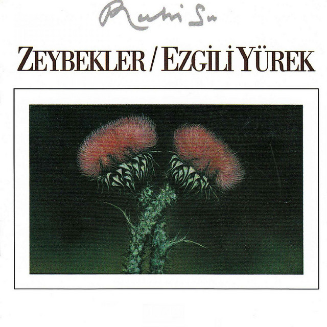 Zeybekler+-+Ezgili+Y%C3%BCrek