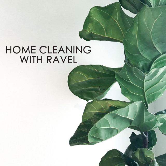 Home+cleaning+with+Ravel