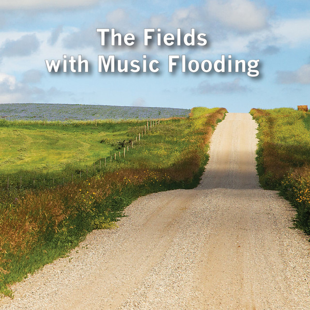 The+Fields+with+Music+Flooding