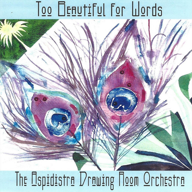 The+Aspidistra+Drawing+Room+Orchestra